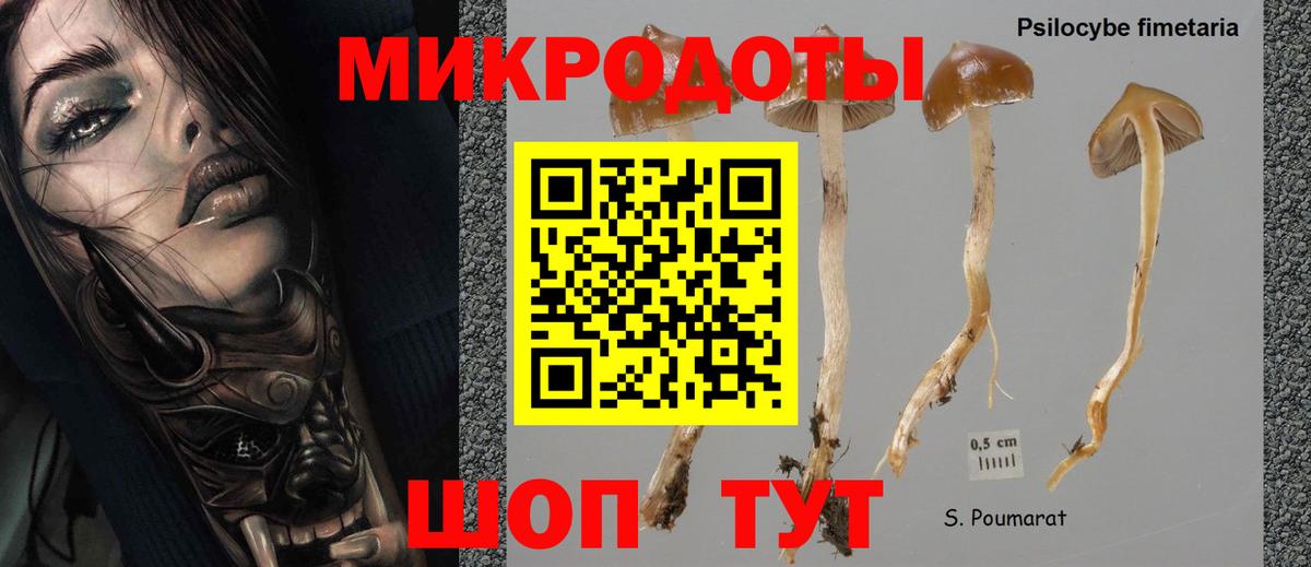 Псилоцибиновые грибы Psilocybe  Вход с VPN  Псилоцибиновые грибы GOLDEN TEACHER  Полысаево 